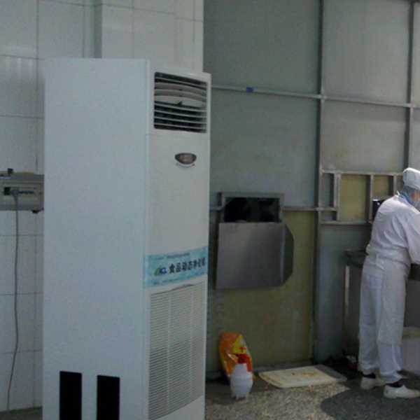 武汉食品正负离子空气杀菌器