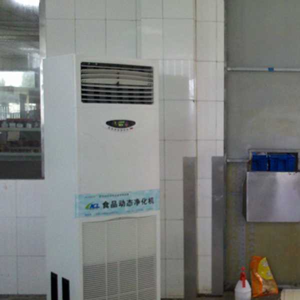 武汉食品智能空气杀菌器